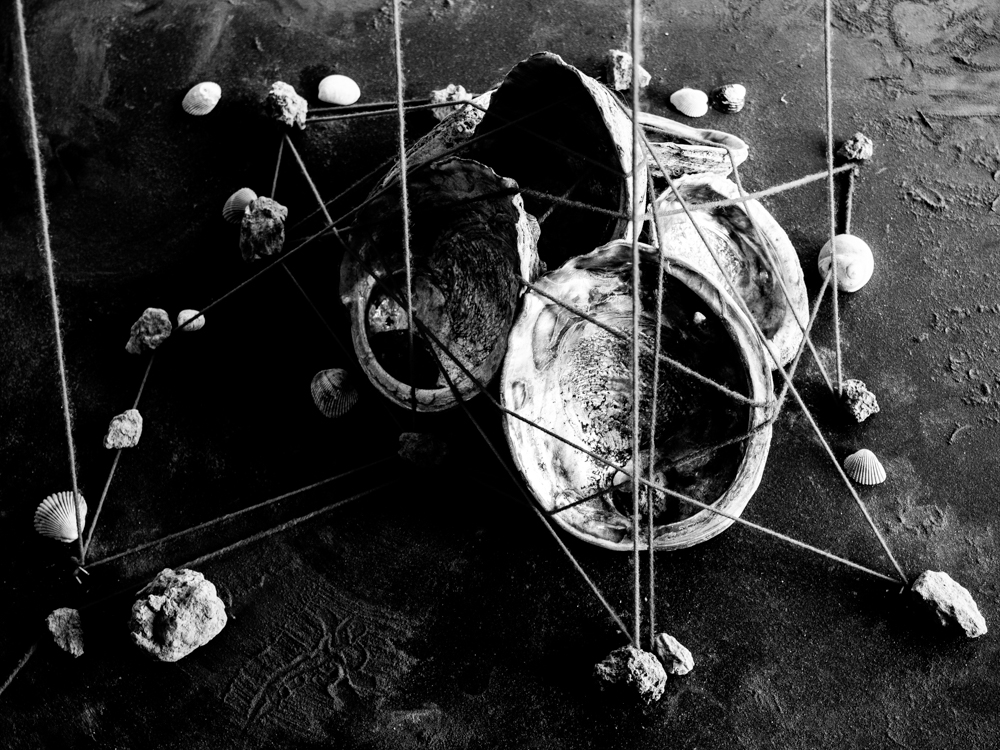 Descansco Gardens 32